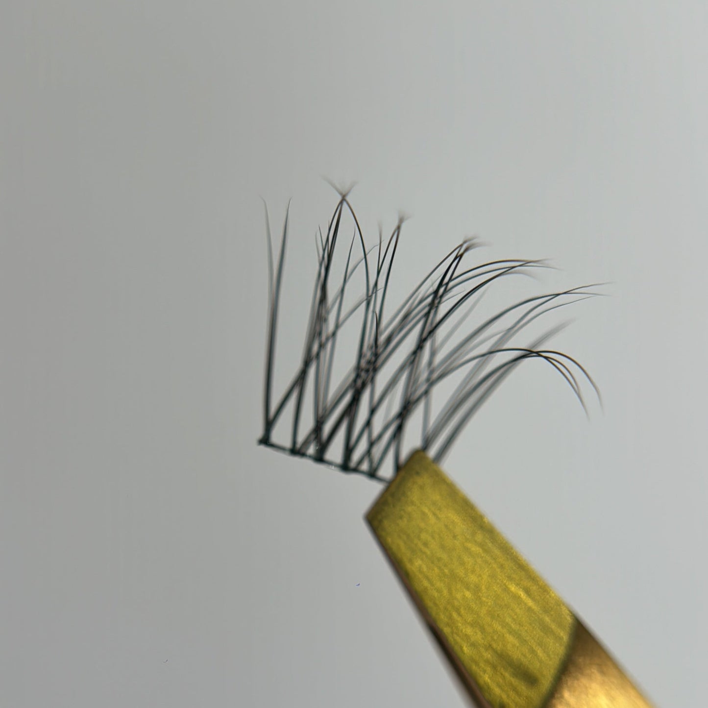 Wisps 02