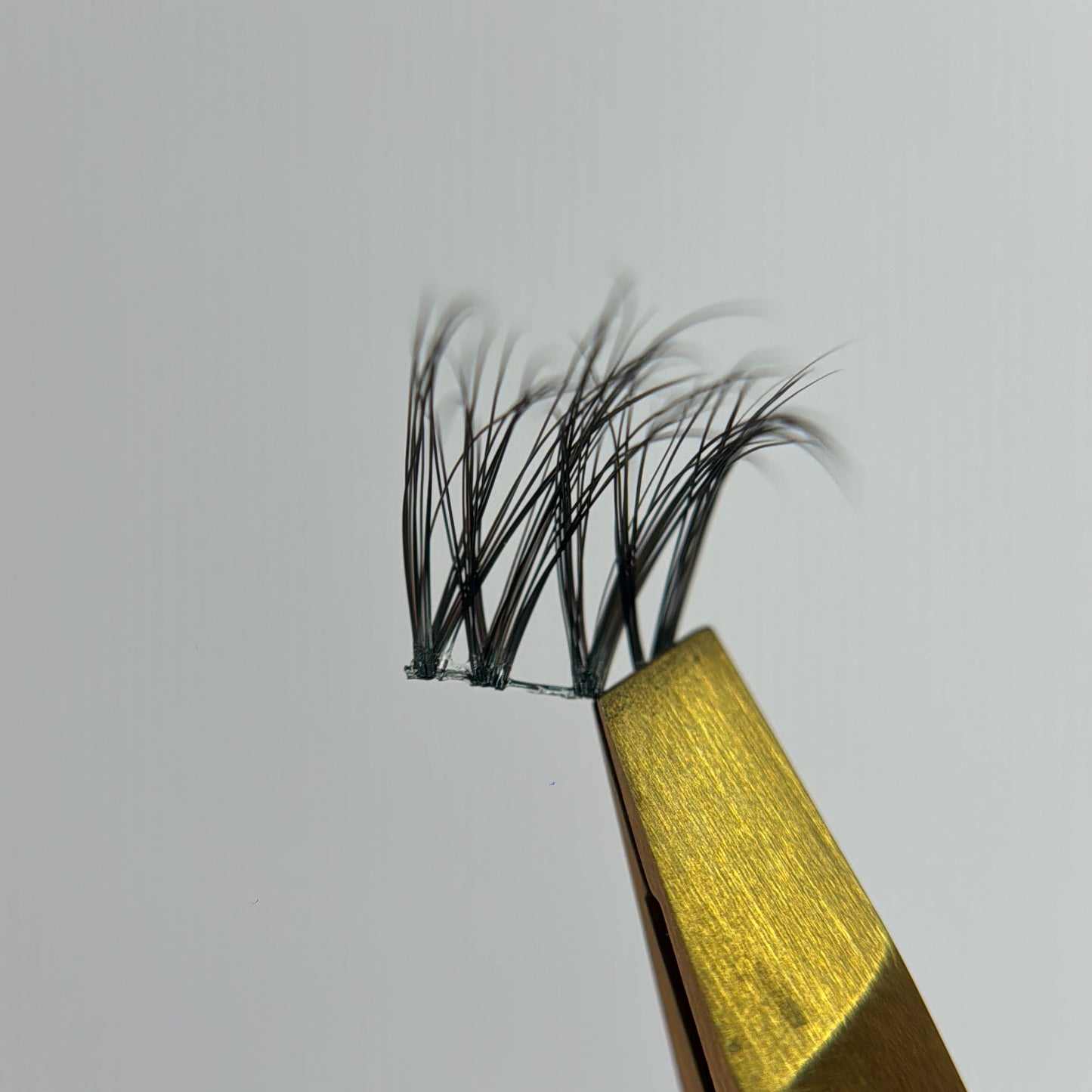 Wisps 03