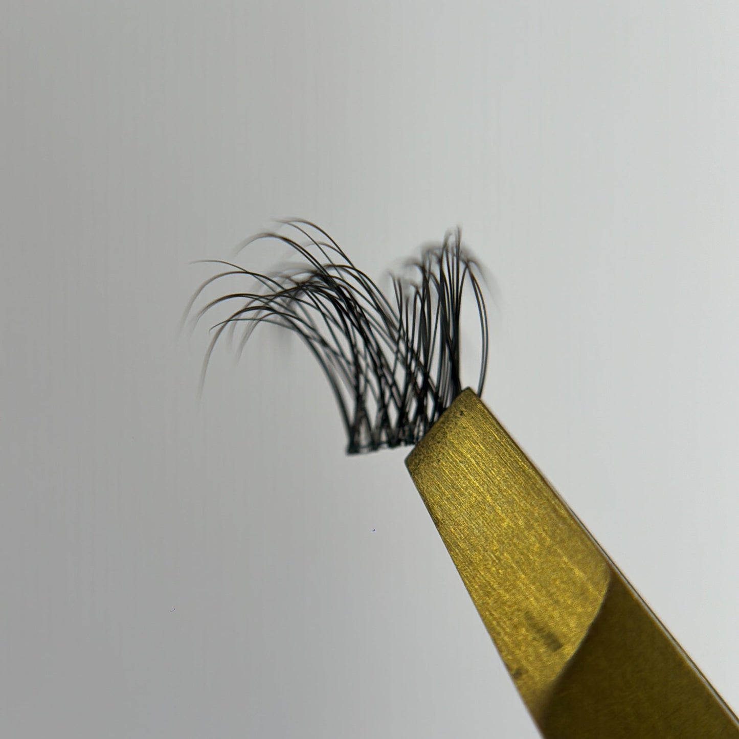 Wisps 04