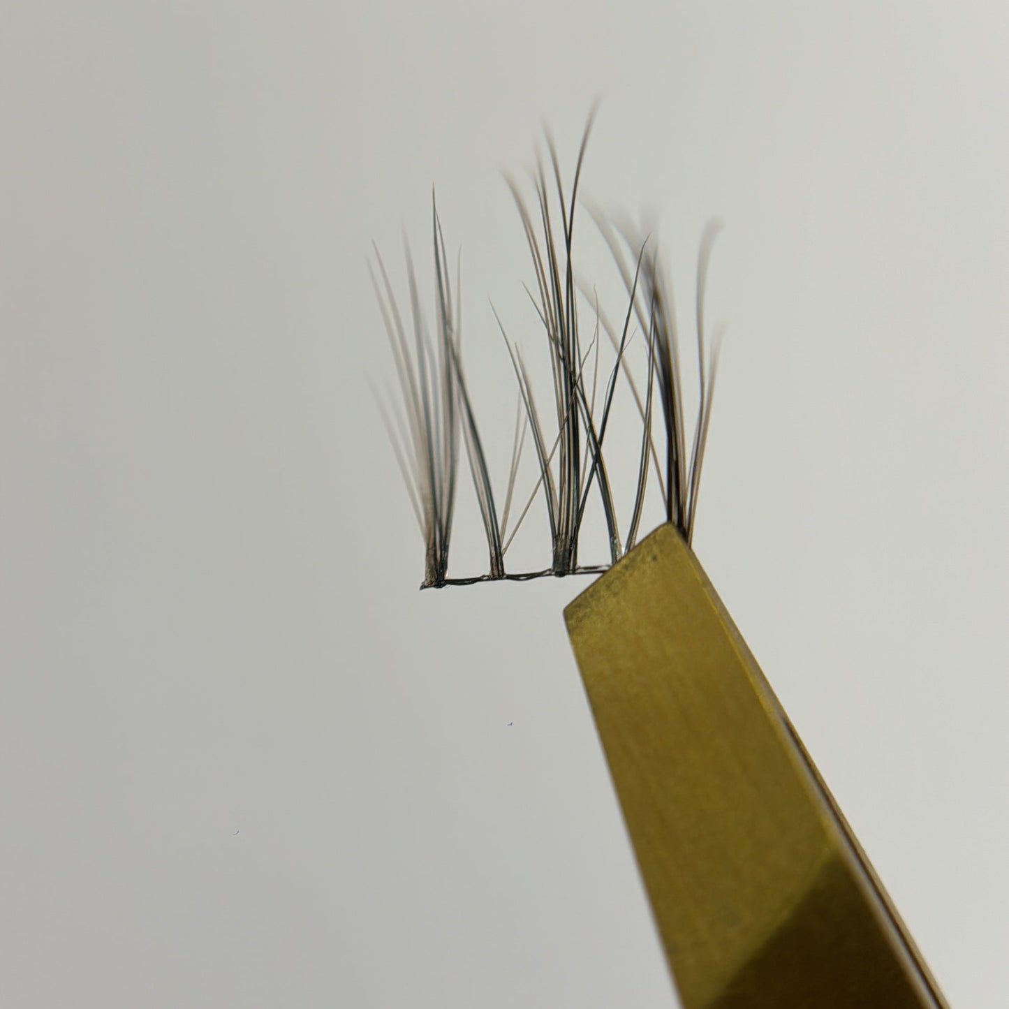 Wisps 01