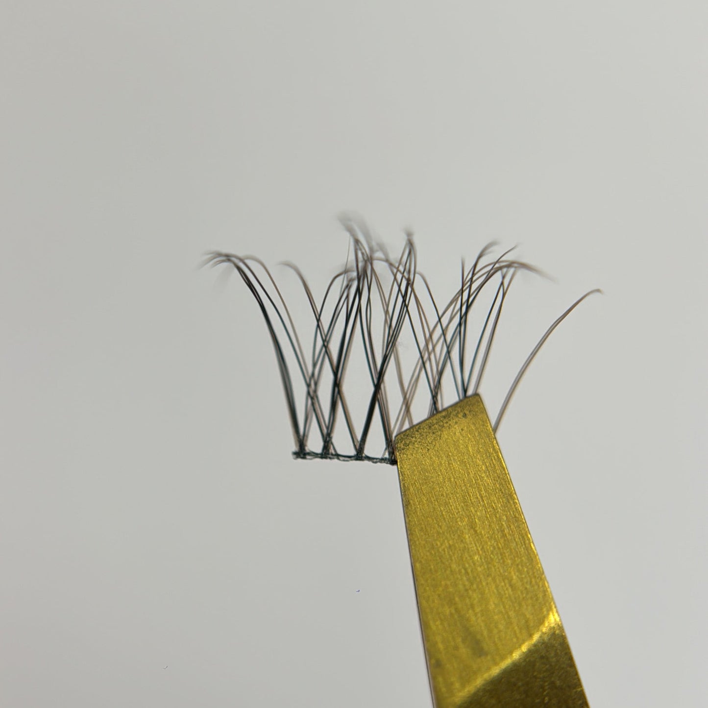 Wisps 02