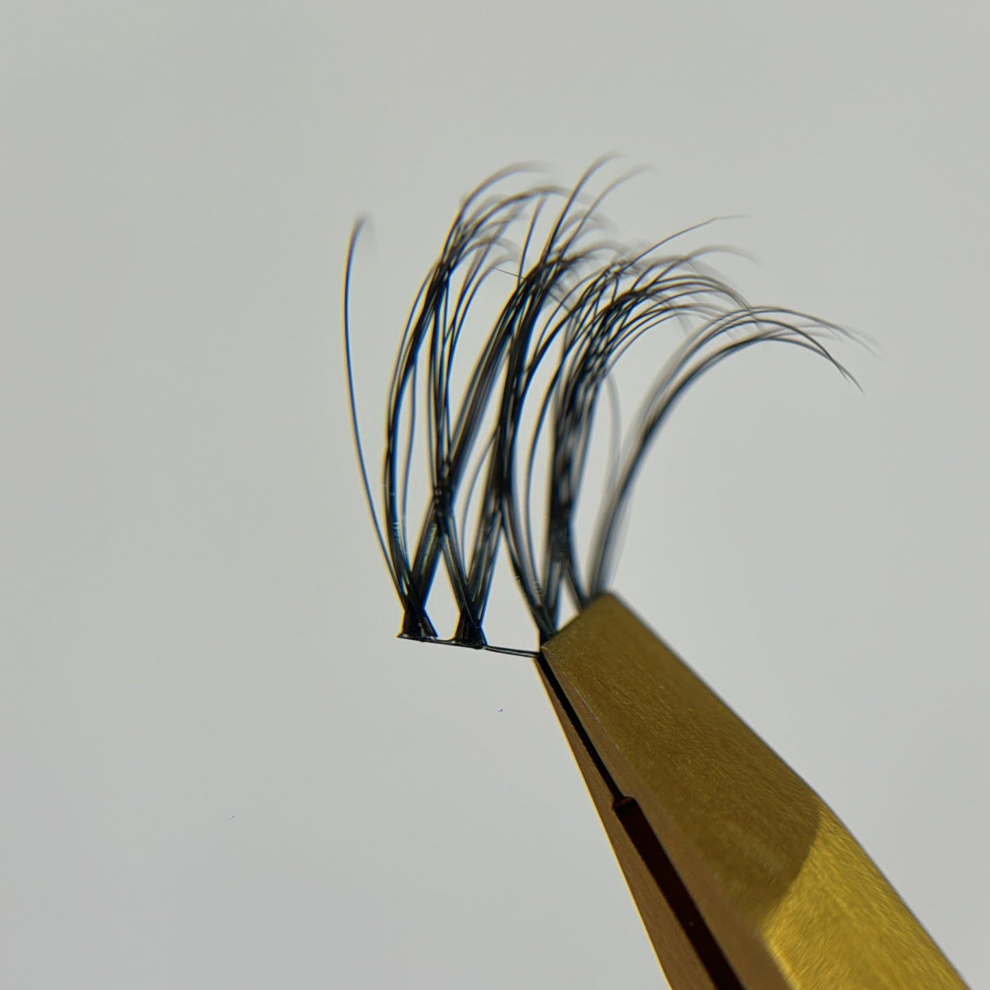 Wisps XL 03