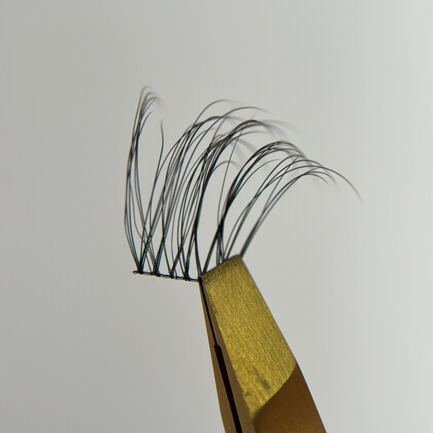 Wisps XL 02