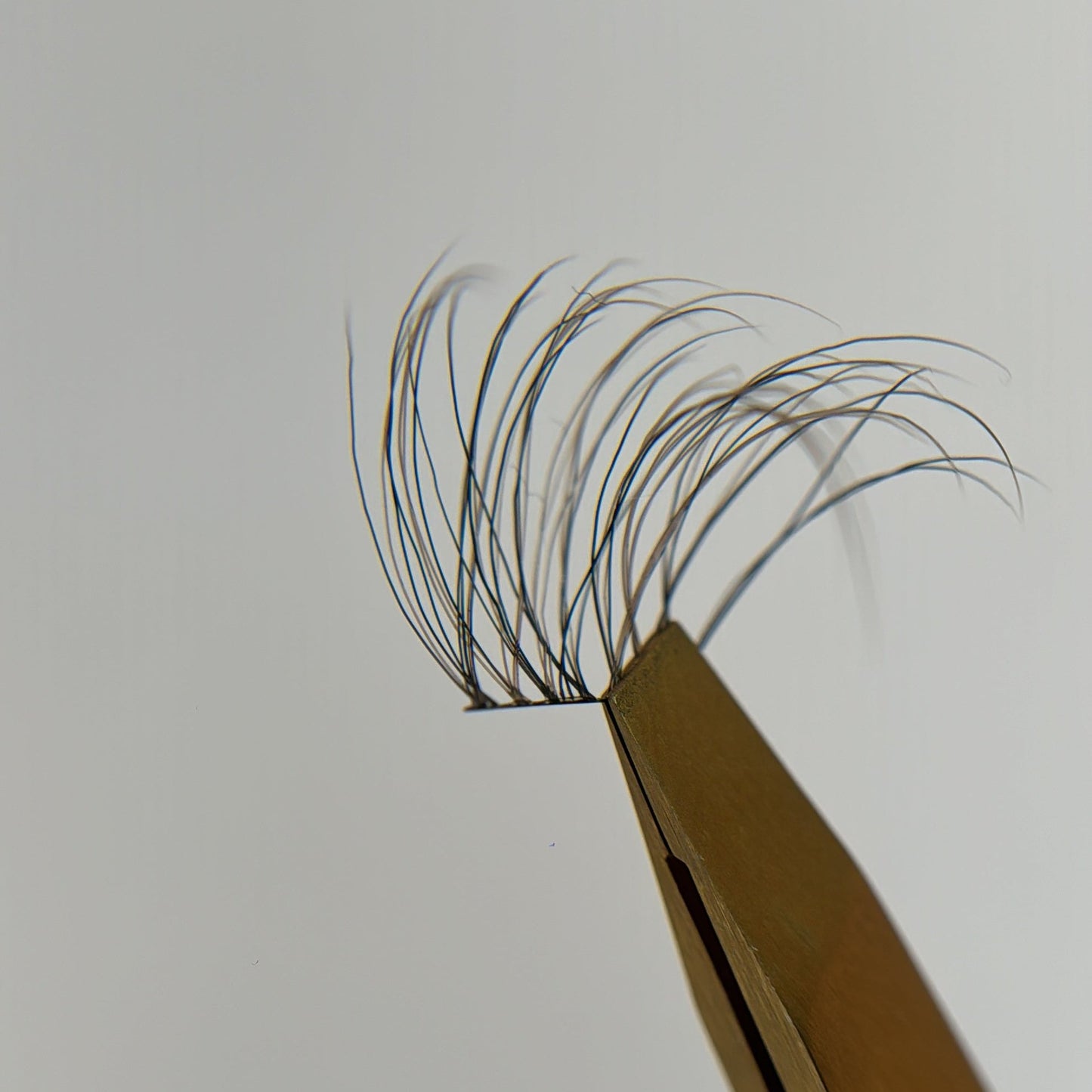 Wisps XL 02